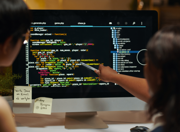 Dynamic Website Development